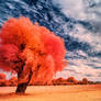 Infrared Trees - pt. I