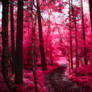 Infrared Trees - pt. VII
