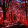 Infrared Trees - pt. VIII
