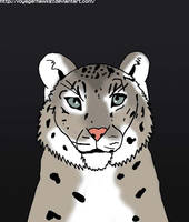 DA Snow Leopard Tutorial