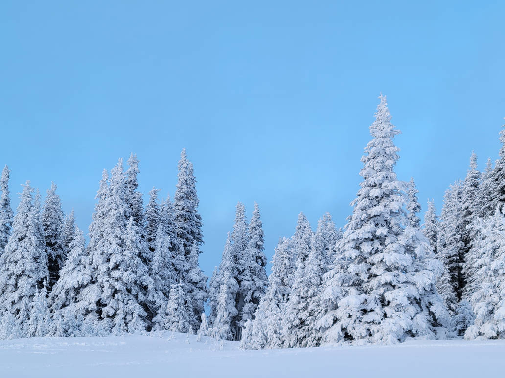 Hurricane Ridge 04 (01/06/24) by VoyagerHawk87 on DeviantArt
