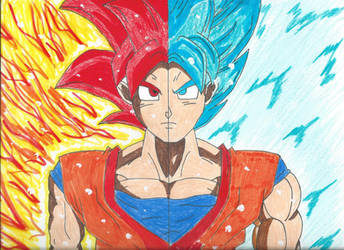 Super Saiyan God/Super Saiyan Blue