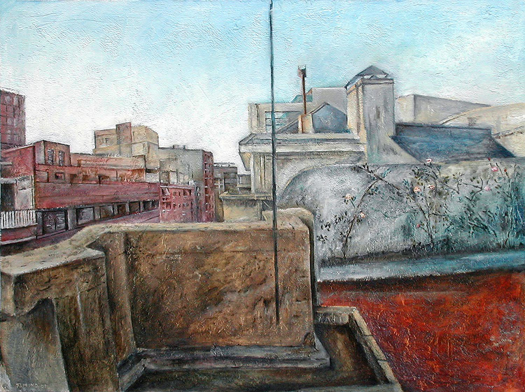 terraza de lucio