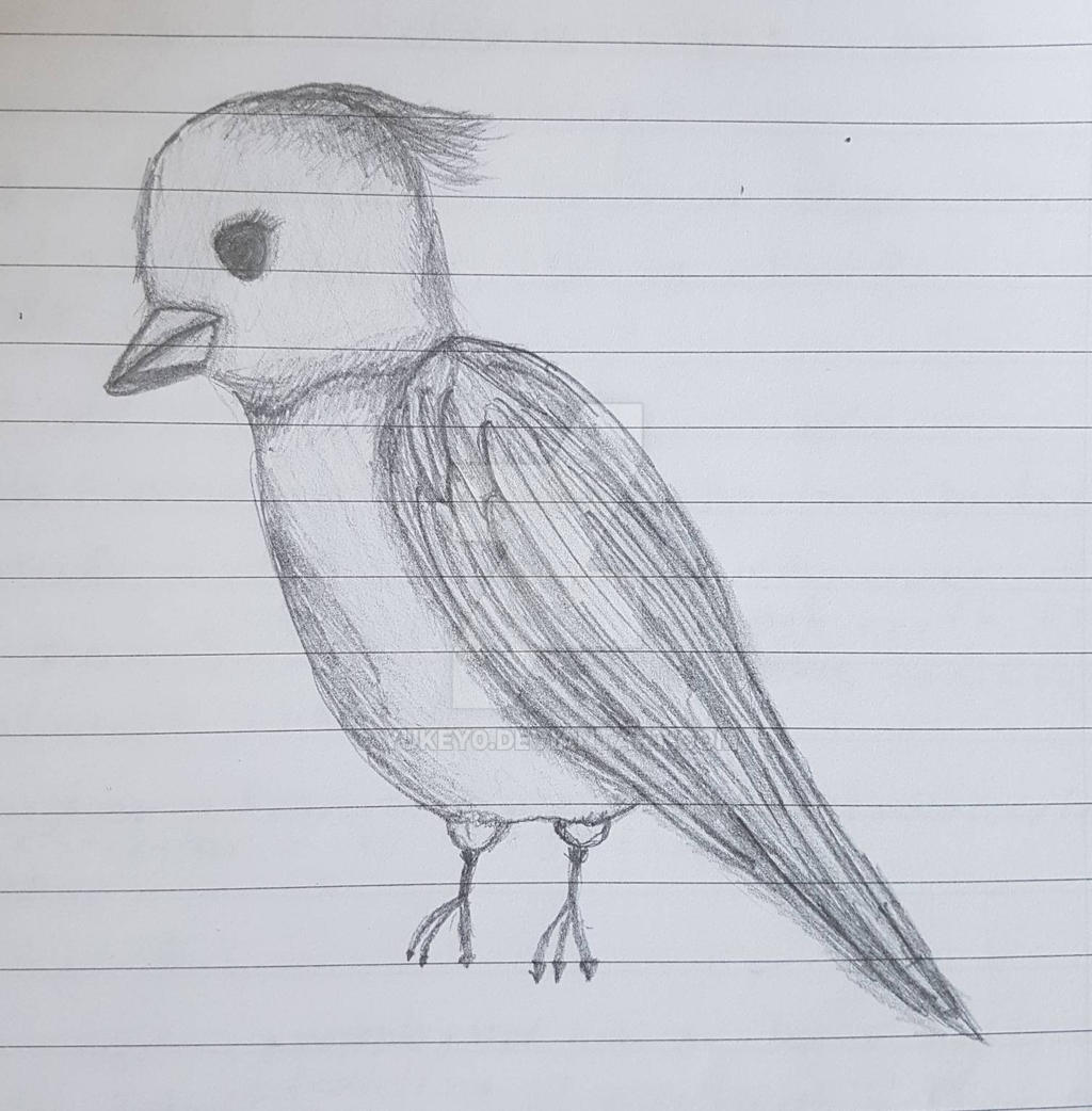 Simple Bird Sketch By Yukey0 On Deviantart Simple Bird Sketch By Yukey0 On Deviantart