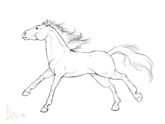 horse lineart