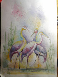 cranes :)