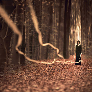 ...i lead by oprisco