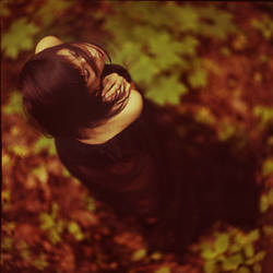 forest 1