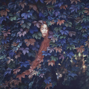 *** by oprisco