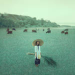 *** by oprisco