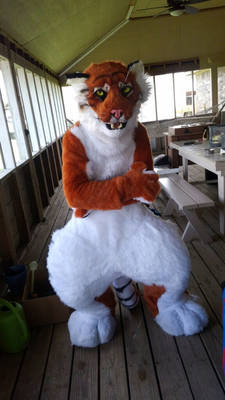 Tiger Fullsuit Sale/Trade