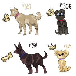 Christmas Adoptables: Dogs