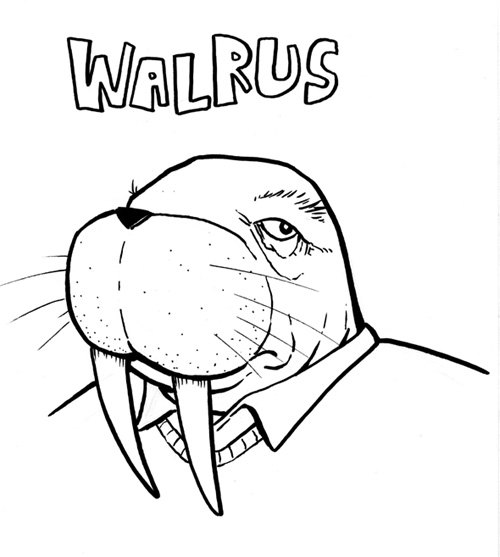 Walrus