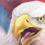 Angry Eagle