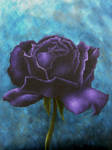 Purple Rose 4 by Artman225