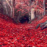 Covering the path