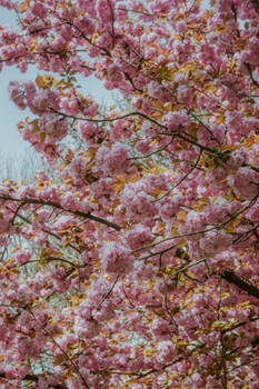 Zagreb in Spring