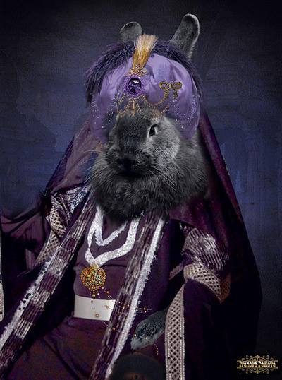 Sultan Black Rabbit... by IPNatali on DeviantArt