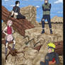 New Team 7 Coloured