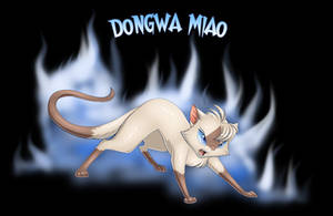 Dongwa the Chinese Siamese Cat