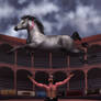 pink pony club