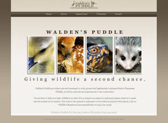 walden's puddle home page.