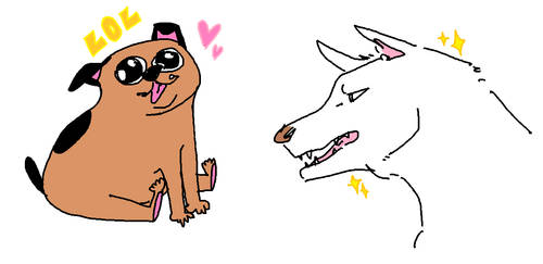 Doges