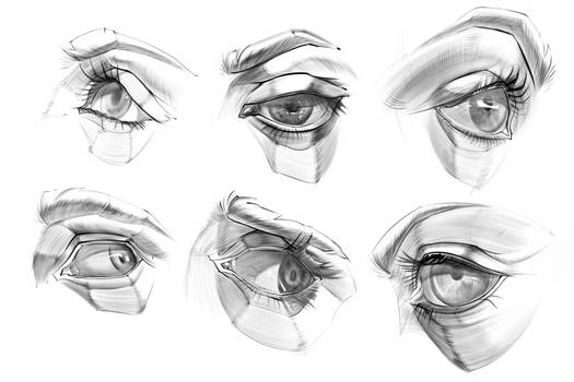 Eye Study/Reference by MangaTips-Com on DeviantArt