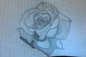 rose take 1