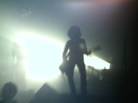 NIN Tour '07 - Shadow.