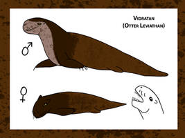 Creature profile: Vidratan (Otter Leviathan)