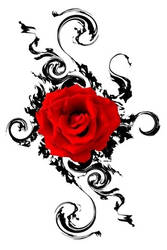 a red rose