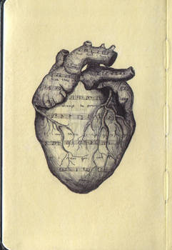 A Study of the Human Heart