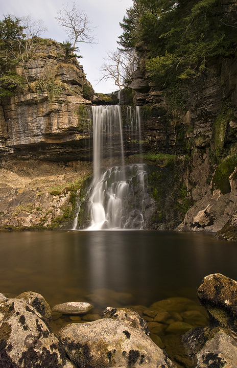 Thornton Force