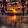 Sunset Through the Spanish Moss