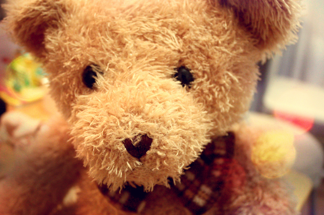 Teddy Bear