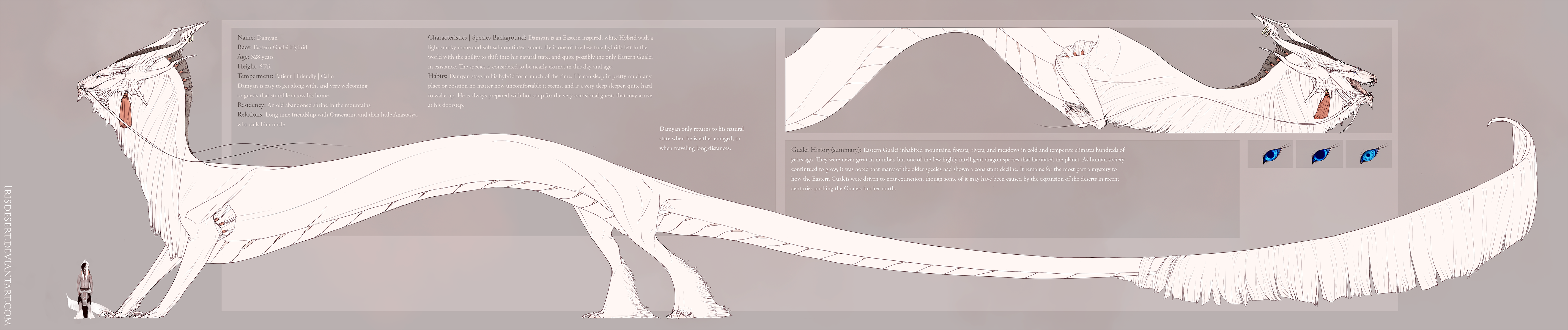 Damyan Dragon Ref