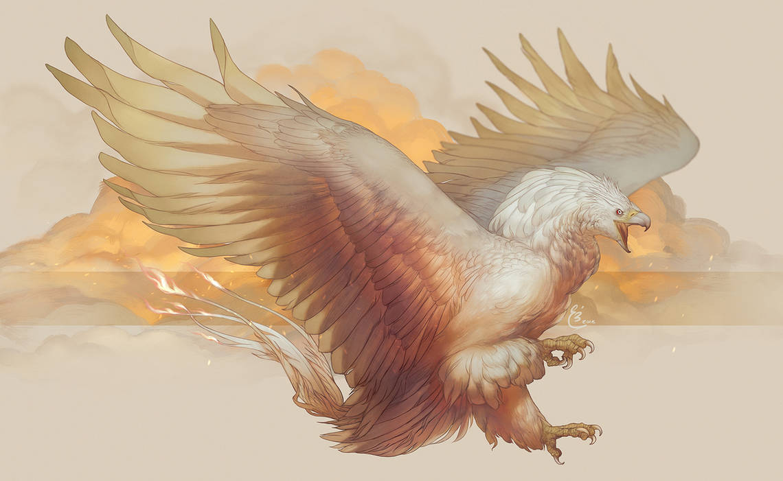 Comm| Roc Phoenix by SunDier