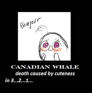 Canadian Whale