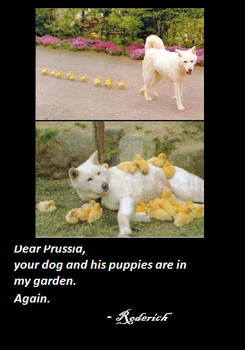 Prussia's dog