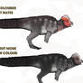 Pachycephhlosaurus dimorphism