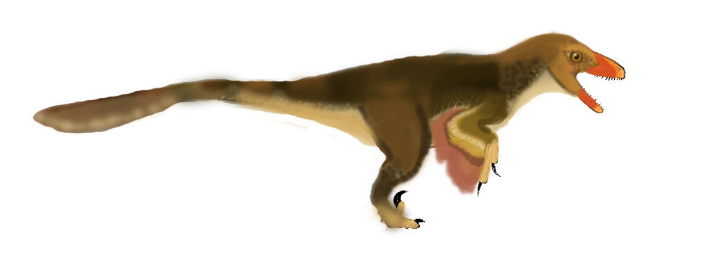 Raptor Red by Taliesaurus on DeviantArt