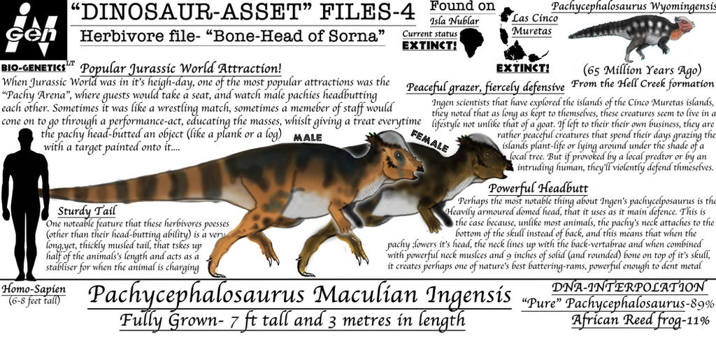 Dinosaur Asset Files Pachycephalosaurus By Taliesaurus On Deviantart Dinosaur Asset Files Pachycephalosaurus By Taliesaurus On Deviantart