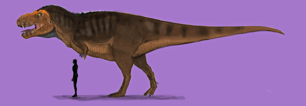 Paleoart: Fairly Accurate T. Rex By Taliesaurus On Deviantart