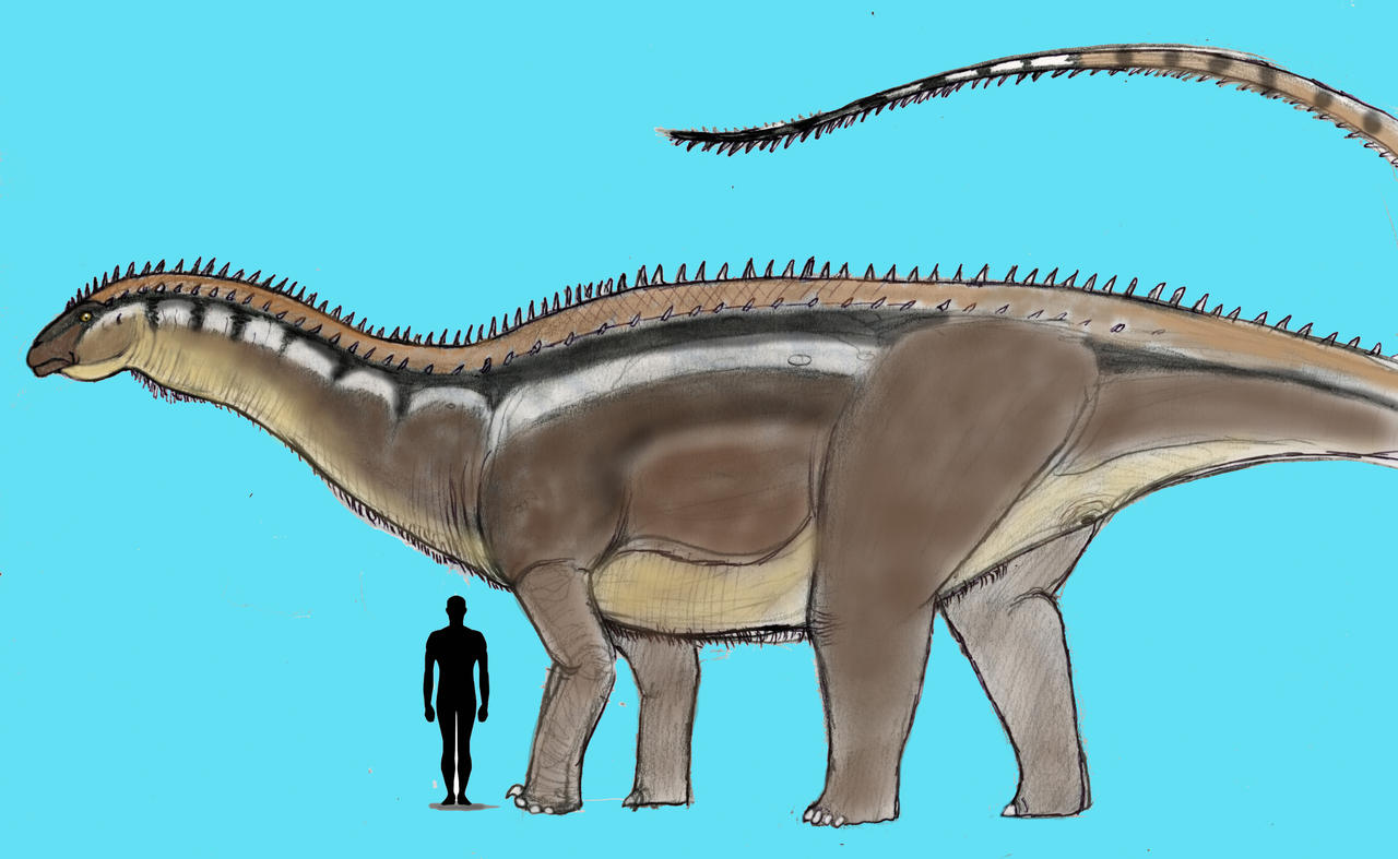 PALEOART: DIPPY THE DIPLODOCUS by Taliesaurus on DeviantArt
