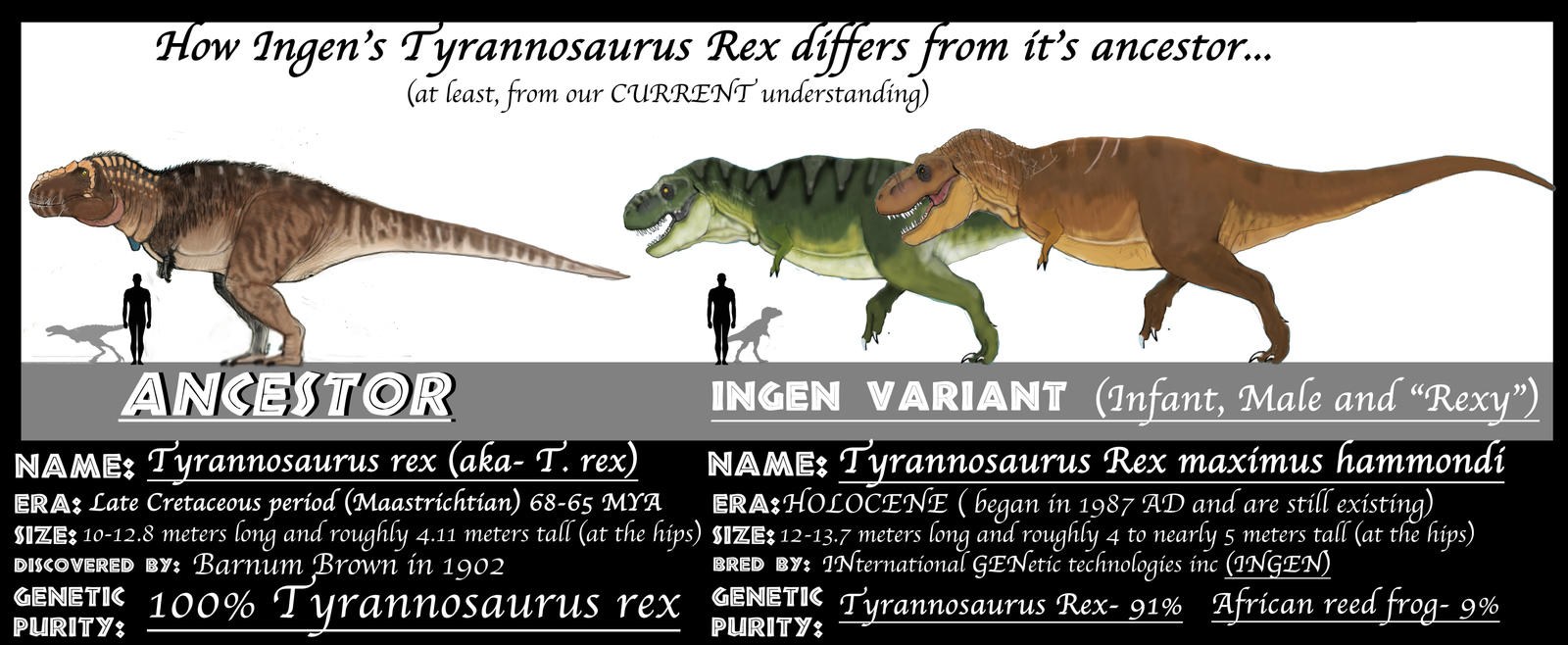 ASSETS MEET ANCESTORS: TYRANNOSAURUS (update) by Taliesaurus on DeviantArt