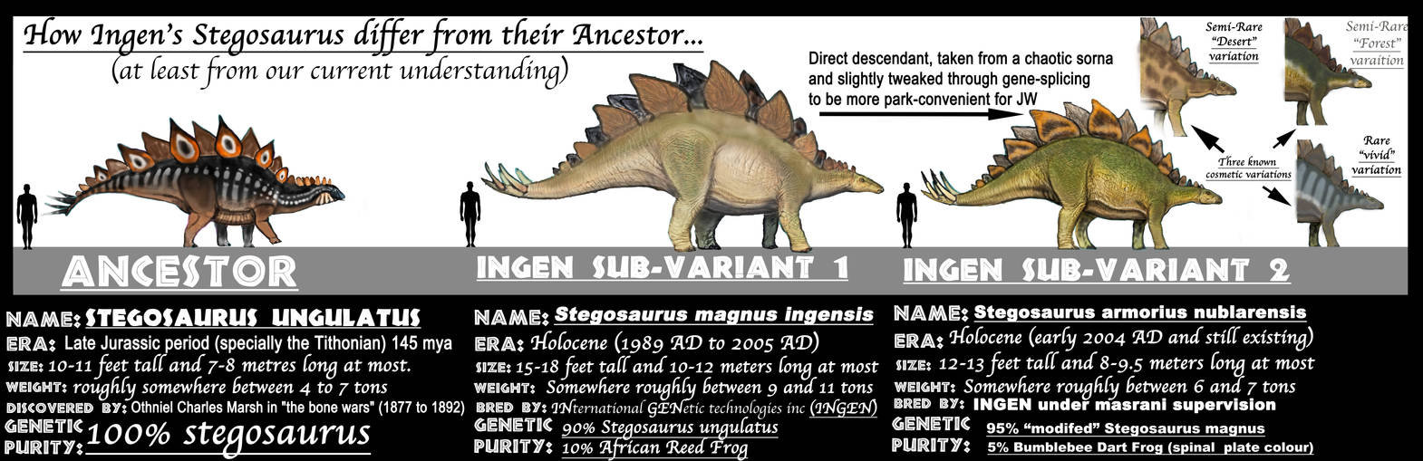 ASSETS MEET ANCESTORS- STEGOSAURUS (updated)