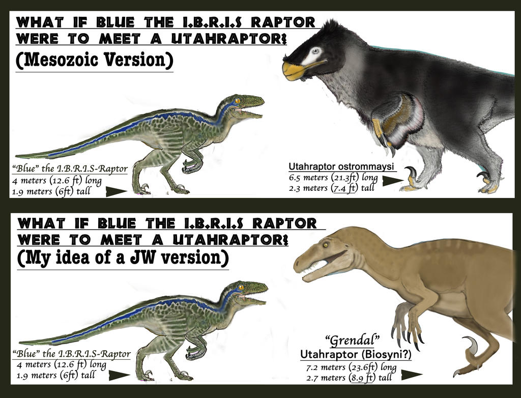 Fun Jw What If Blue Vs Utahraptor By Taliesaurus On Deviantart