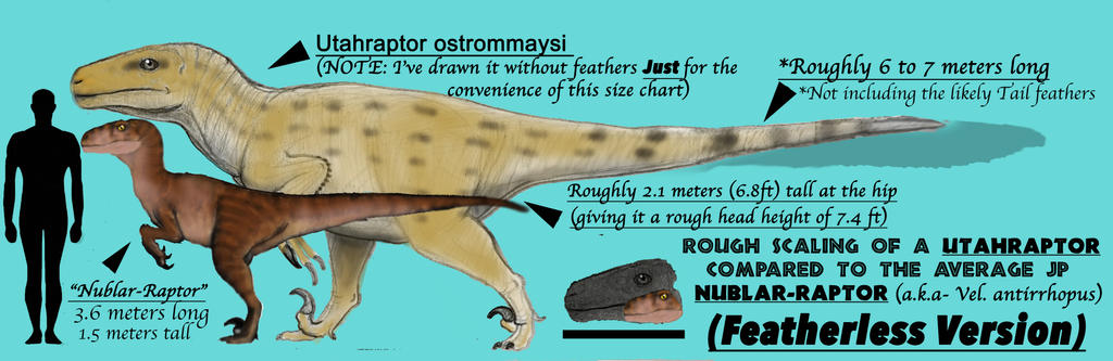 Uath Raptor Size JP SIZE CHART: UTAHRAPTOR SIZE CHART (FEATHERLESS) by Taliesaurus on ...