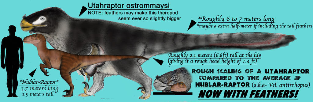 Uath Raptor Size JP SIZE CHART: UTAHRAPTOR SIZE CHART (FEATHERED) by Taliesaurus on ...